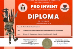 diplome_Page_02