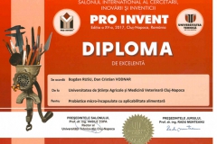 diplome_Page_06