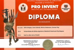 diplome_Page_13