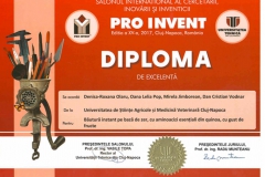 diplome_Page_21