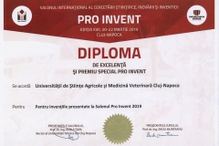 diploma1