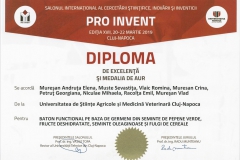 diploma10