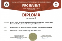 diploma100