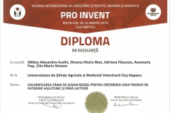 diploma102