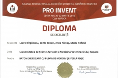 diploma105