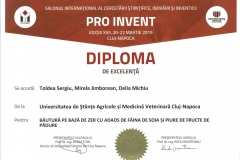diploma108