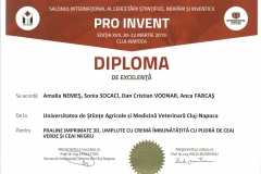 diploma111