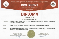 diploma12
