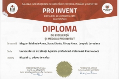 diploma14