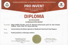 diploma15