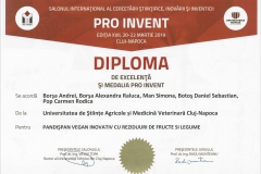 diploma17
