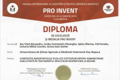 diploma19