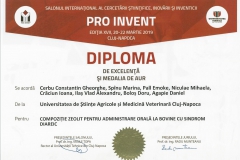 diploma2