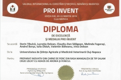 diploma21
