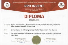 diploma22