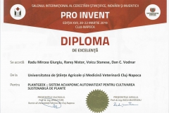 diploma23