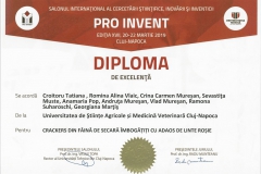 diploma24