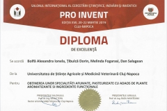 diploma28