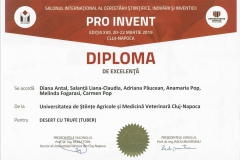 diploma29
