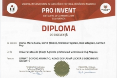 diploma30