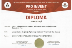 diploma31