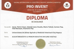 diploma32