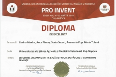 diploma33