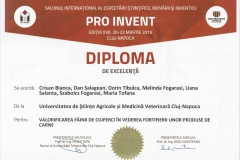 diploma37