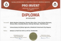 diploma38