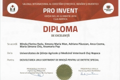 diploma39