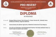 diploma41