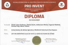 diploma43