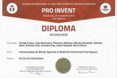 diploma45