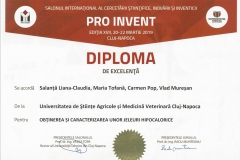 diploma47