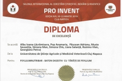diploma48