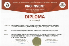 diploma49