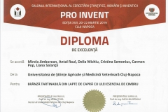diploma51