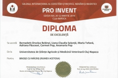 diploma56