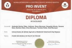 diploma58