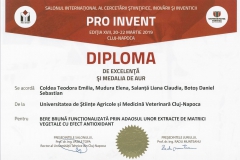 diploma6