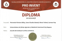 diploma66