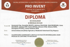 diploma7