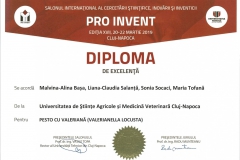 diploma70