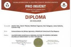 diploma71