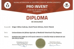 diploma79