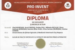 diploma8