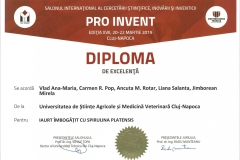 diploma80