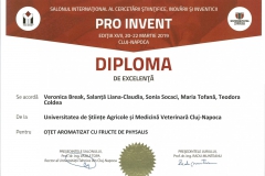 diploma81