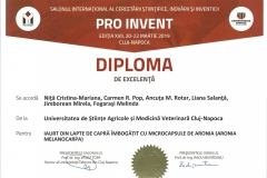diploma85
