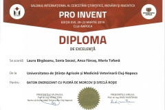 diploma88